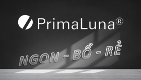 [AudioHanoiTV] Số 101: Điều gì tạo nên sự thành công của PrimaLuna